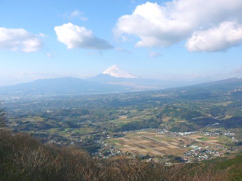 画像の説明