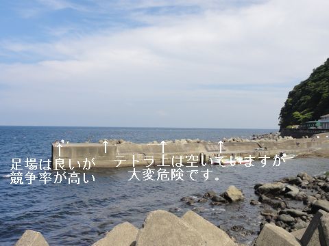 伊豆移住便利情報 伊豆の釣り 移住生活にお役立て下さい