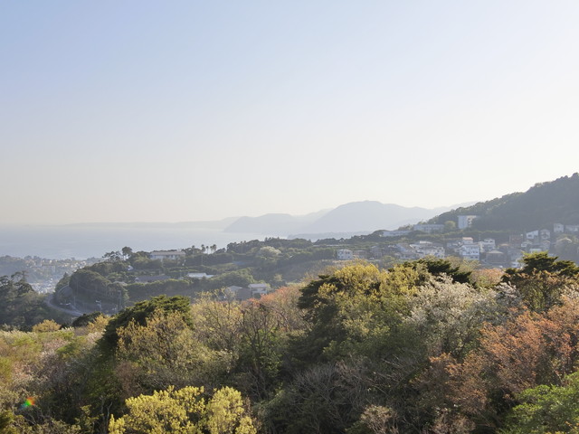 下田方面まで 下田方面まで