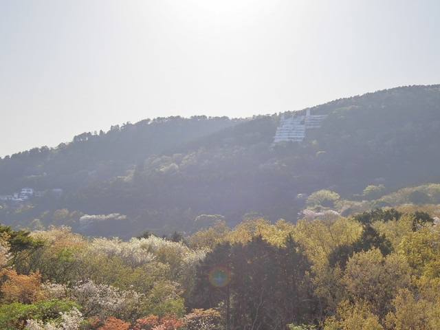 山々の緑を 山々の緑を