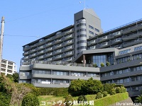 画像の説明 画像の説明