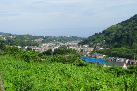 現地からの眺望 現地からの眺望