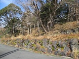 伊豆高原 伊豆高原