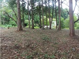 画像の説明