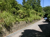 伊東吉田土地 伊東吉田土地