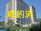 画像の説明 画像の説明