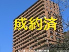 画像の説明 画像の説明