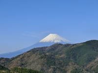 画像の説明