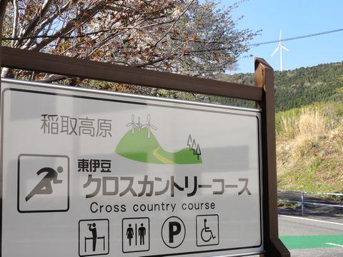画像の説明
