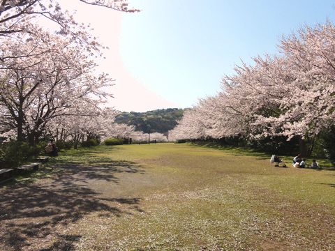 画像の説明